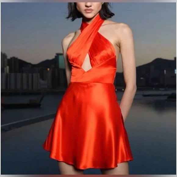 Brand New Sau Lee Livi Criss Cross Halter Mini Dress - Picture 6 of 7